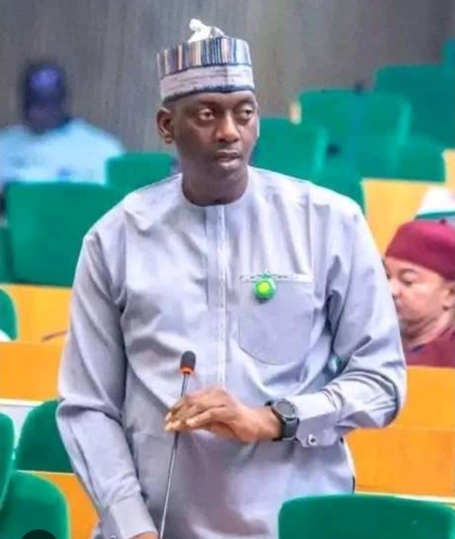 Reps Wade in, Investigate Alleged Abandonment of Nigerian Workers in C.A.R