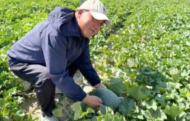 A ‘Sweet Bond’ On Silk Road A ‘Sweet Bond’ On Silk Road