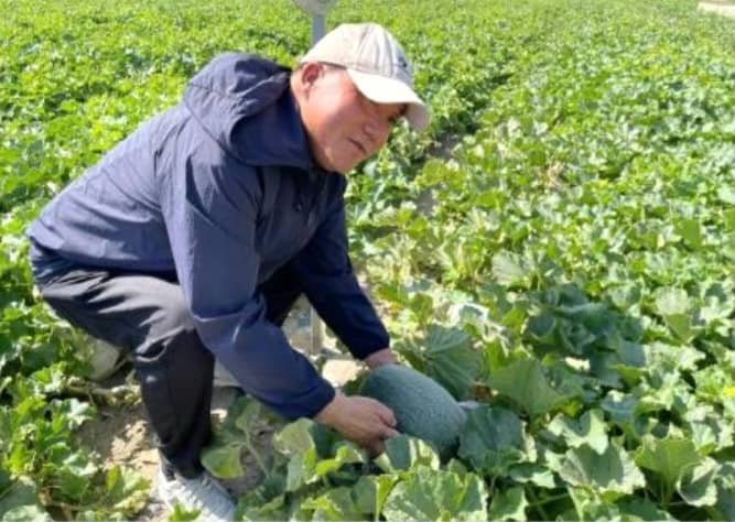 A ‘Sweet Bond’ On Silk Road