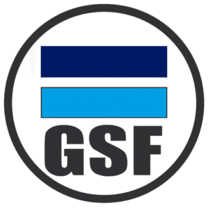 Global South Focus