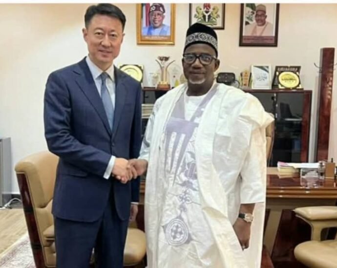 Bauchi Governor Pledges More Support to Chinese Investors