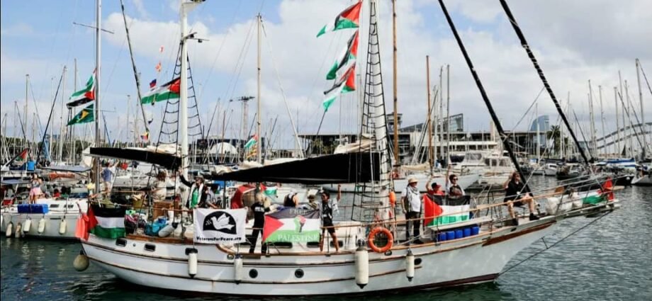 South Africa Urges Israel to Immediately Free Gaza-Bound Flotilla Activists