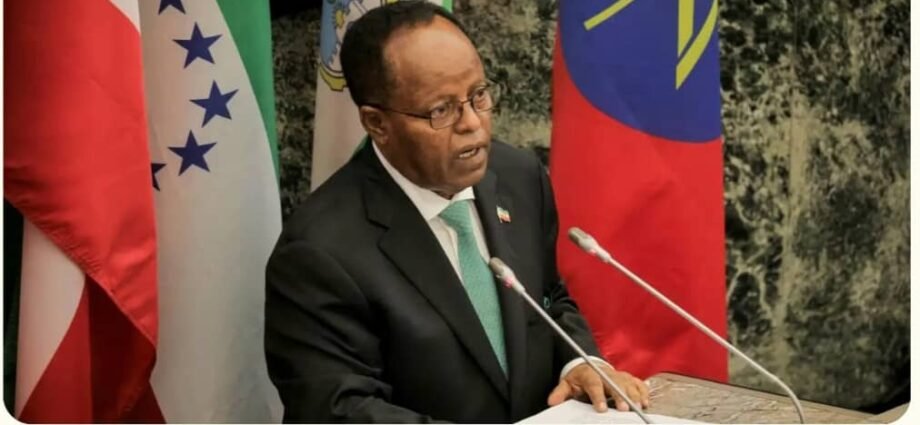 Ethiopia Earned .3 Billion in Trade Revenue