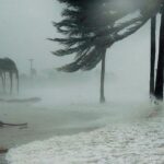 At Least 7 Killed as Hurricane Makes Landfall in Jamaica At Least 7 Killed as Hurricane Makes Landfall in Jamaica