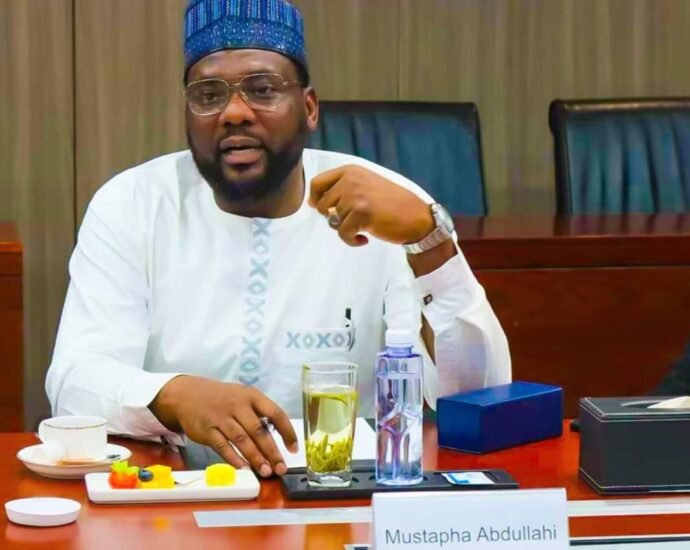 Nigeria Finalises Partnership with China’s Solar Panel Production Company