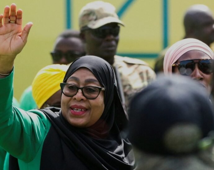 General Elections Held in Accordance with Democratic Principles  — Tanzanian FM