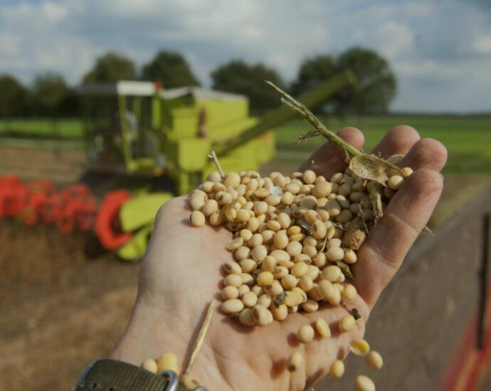 Interview: China Remains Our “Most Irreplaceable Customer,” — CEO of U.S. Soybean Export Council Interview: China Remains Our “Most Irreplaceable Customer,” — CEO of U.S. Soybean Export Council