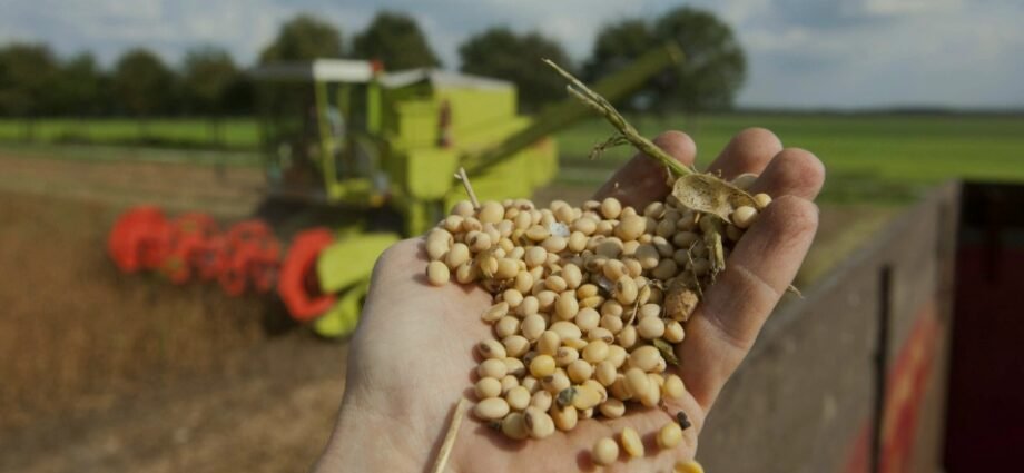 Interview: China Remains Our “Most Irreplaceable Customer,” — CEO of U.S. Soybean Export Council