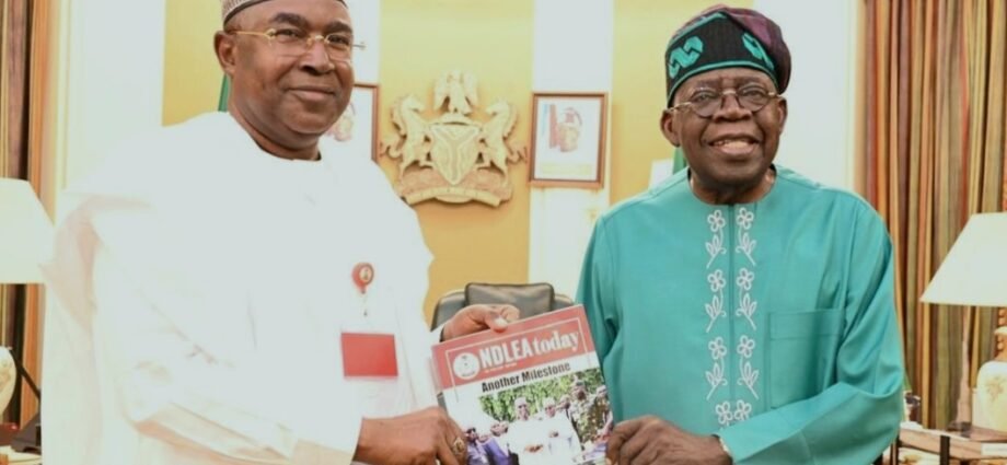 PRESIDENT TINUBU REAPPOINTS MOHAMMED BUBA MARWA AS NDLEA CHAIRMAN: