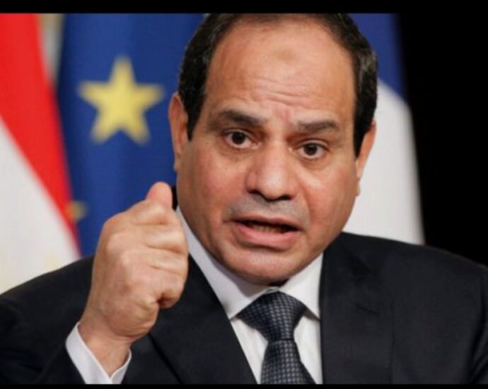 El-Sisi Inaugurates New Port Terminals in the Suez Canal