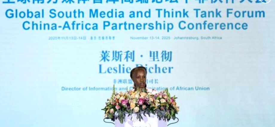 Collaboration with China, Global South Partners Allows Africa Better Representation on World Stage — AU Official