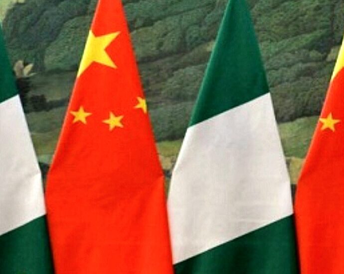 With Civilization Exchange and Mutual Learning as the Brush, Paint a New Chapter of China-Nigeria Cooperation