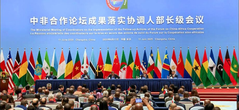 Zero-tariff Policy Brings More African Products to Chinese Market