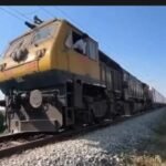 High-Speed Passenger Train Kills 7 Elephants Crossing Railway Tracks in Northeast India