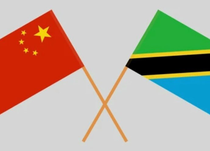 Chinese FM in Tanzania, Puts Forward Proposals to Further Deepen China-Africa Cooperation