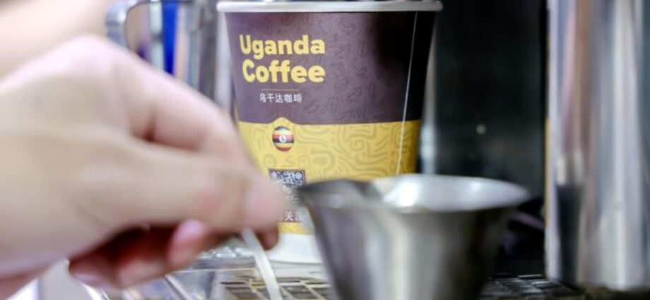 China’s Zero-Tariff Policy Opens New Doors for Ugandan Coffee Exports