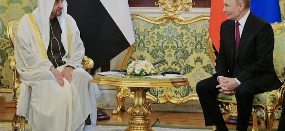 Putin Held Talks with UAE President in Moscow