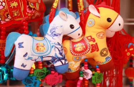 Xi’s Spring Festival Visits: Unity in Simola Wa Village