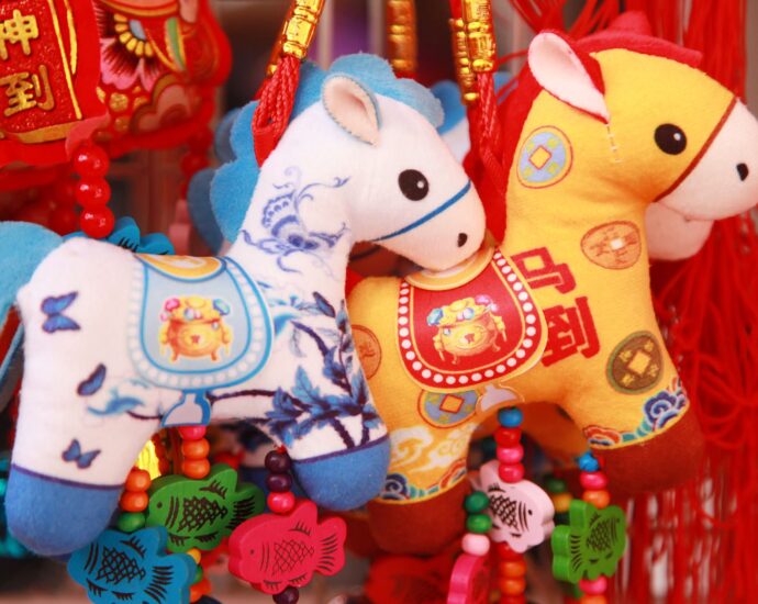 Xi’s Spring Festival Visits: Unity in Simola Wa Village Xi’s Spring Festival Visits: Unity in Simola Wa Village