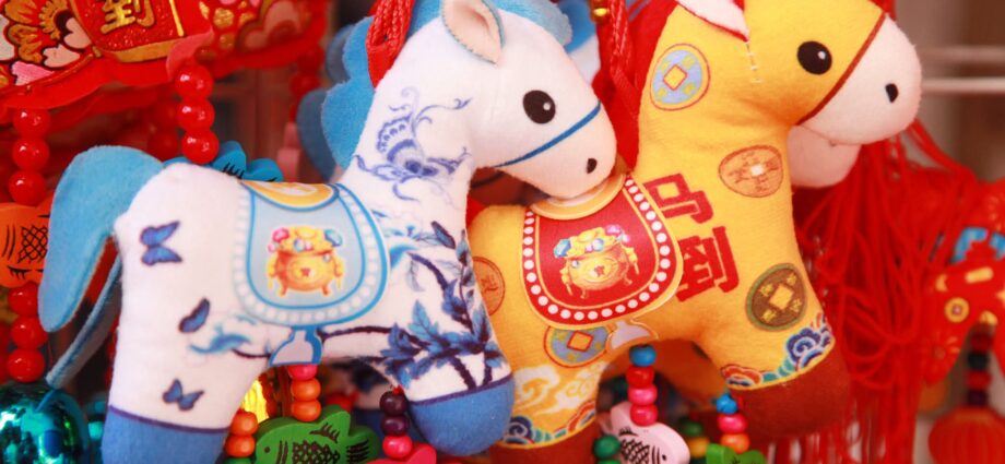 Xi’s Spring Festival Visits: Unity in Simola Wa Village