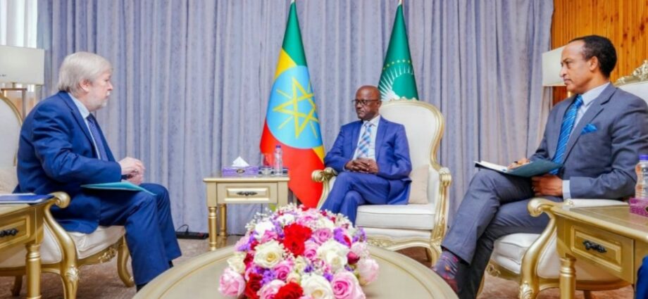 Ethiopia Imdicated Interest in Hosting Third Russia–Africa Summit — Foreign Ministry