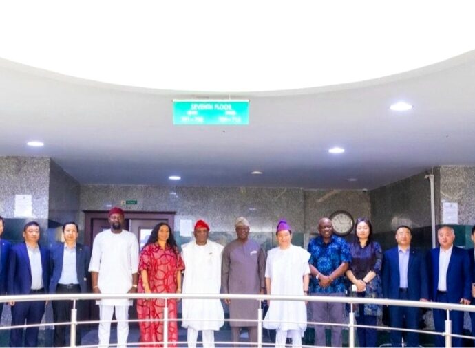 FG, Chinese Firm in Talks on .7bn Power, Mining Investment