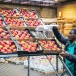 China’s Zero-Tariff Policy Seen Boosting China-South Africa Agricultural Trade