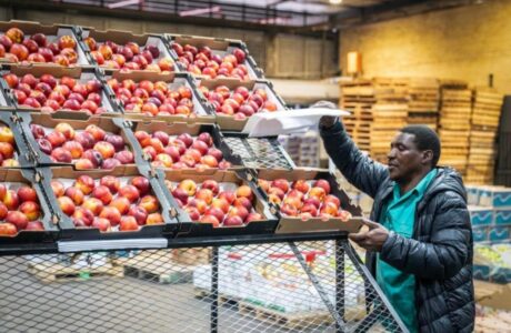 China’s Zero-Tariff Policy Seen Boosting China-South Africa Agricultural Trade