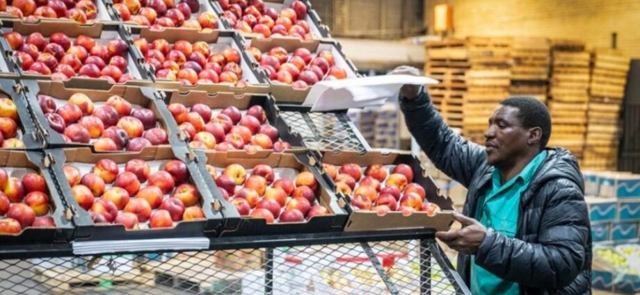 China’s Zero-Tariff Policy Seen Boosting China-South Africa Agricultural Trade