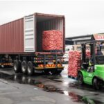 China’s Zero-Tariff Access to Africa Set to Boost Exports – Zimbabwean Expert