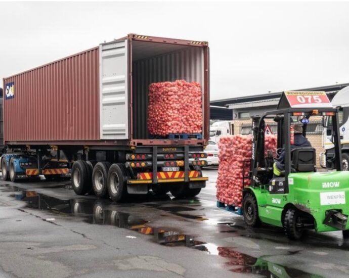 China’s Zero-Tariff Access to Africa Set to Boost Exports – Zimbabwean Expert