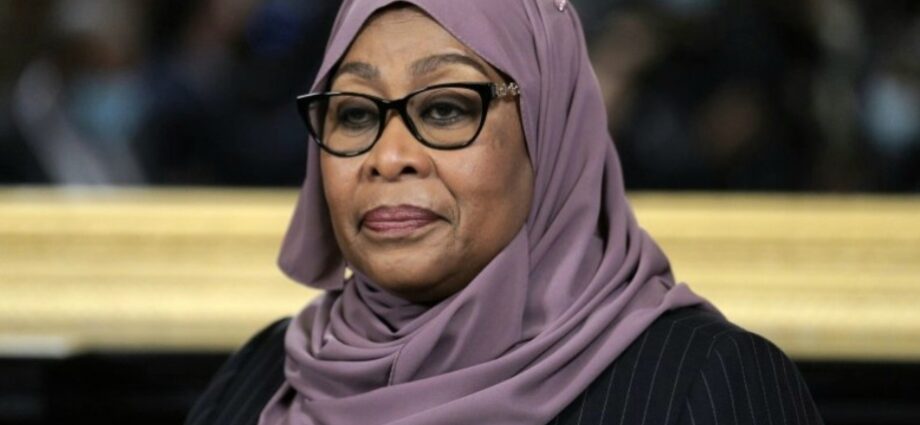 Tanzania to Carry Out Tax Reform