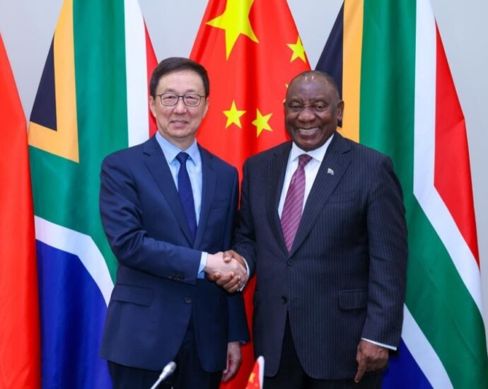 Chinese VP Meets South African President on Bilateral Ties Chinese VP Meets South African President on Bilateral Ties