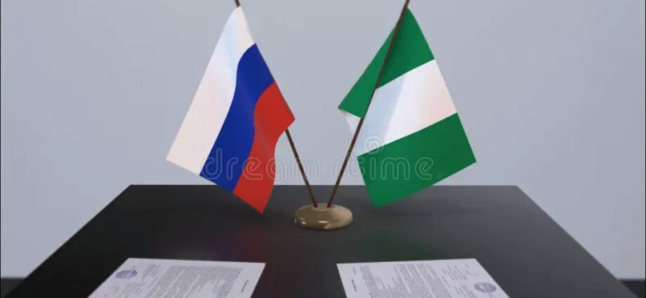 Nigerian Institute, MGIMO University Sign MoU on Academic Exchange and Joint Research
