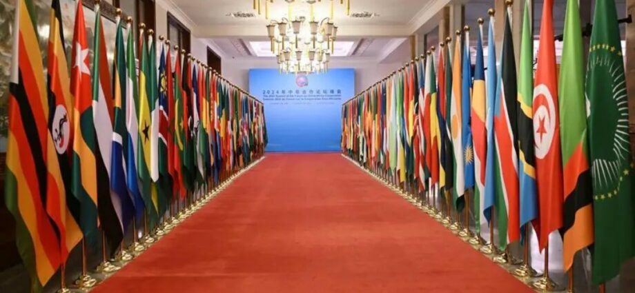 China’s Tariff-Free Policy Opens New Growth Path for Africa