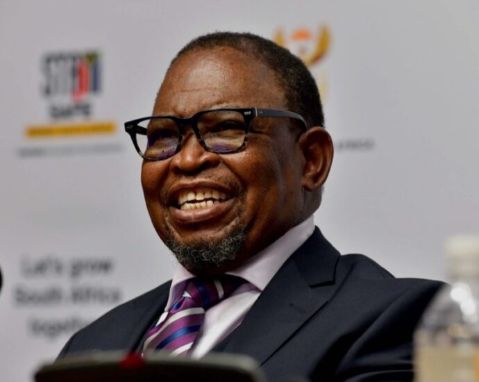 South African finance minister not accredited to attend G20 meeting in US