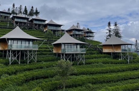 Yunnan Coffee Estate Turns Discarded Grounds Into Valuable Resource
