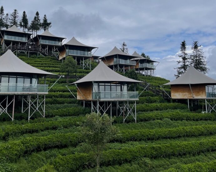 Yunnan Coffee Estate Turns Discarded Grounds Into Valuable Resource