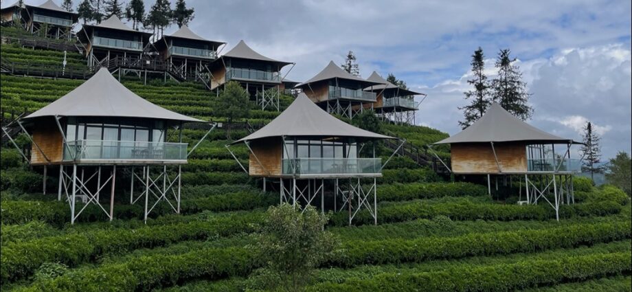 Yunnan Coffee emEstate Turns Discarded Grounds Into Valuable Resource