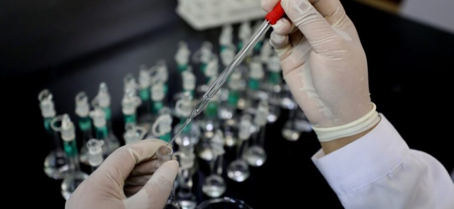 Gavi Urges Investment in Vaccines to Attain Malaria-free Status in Africa