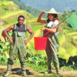 In China’s Countryside, a Nigerian Student Found More than a Story