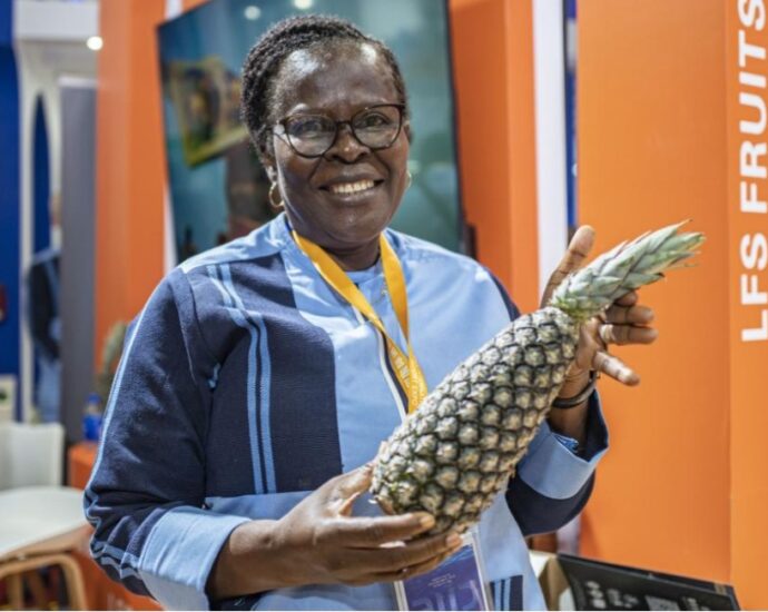 China’s Zero-tariff Policy Widely Applauded in Africa