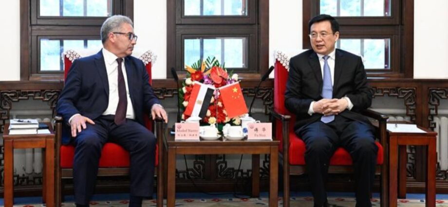 Xinhua President Meets Egyptian Ambassador to China